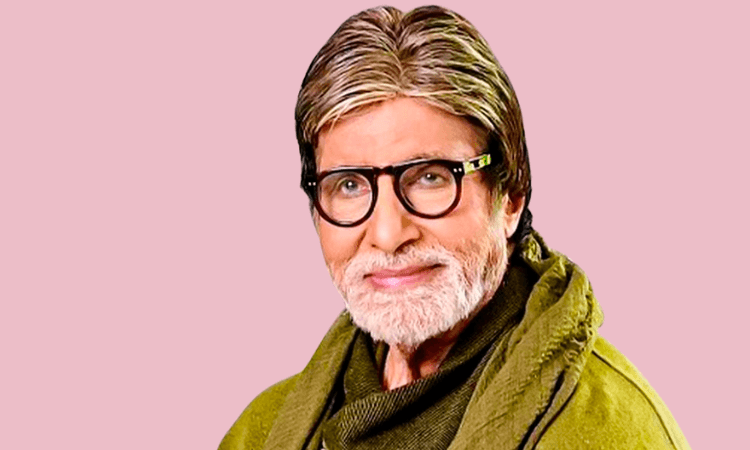 Amitabh Bachchan Wig-3