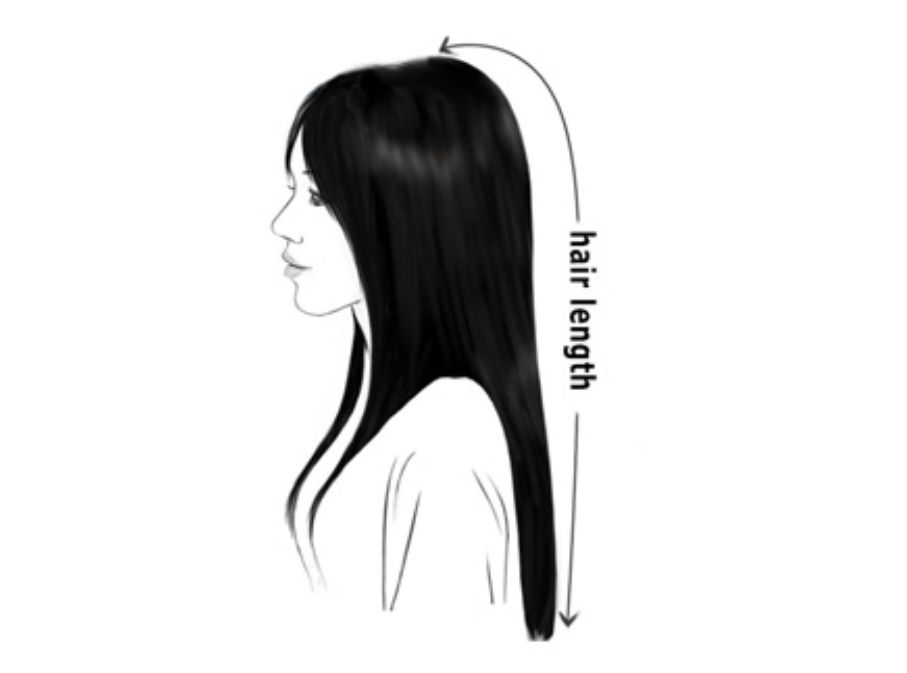 Wig Length 101
